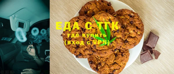 ECSTASY Алзамай
